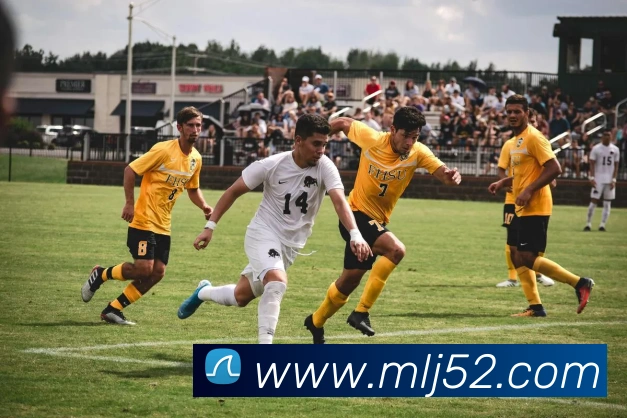 星空官方网页版发展历程